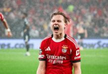 Wow! Sieht Andreas Schelderup als neuen Schlüsselspieler von Manchester United