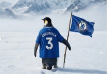 Chelsea hat bereits einen Ersatz für Marc Cucurella im Sinn