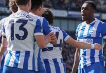 Brighton war es leid, “nette Kerle” zu sein – sie holten MMA-Athleten