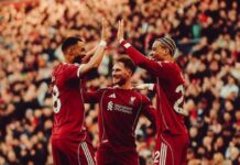 Überraschende Cody Gakpo-Tauschgelegenheit, während Liverpool weiterhin nach einer 150-Millionen-Euro-Sensation