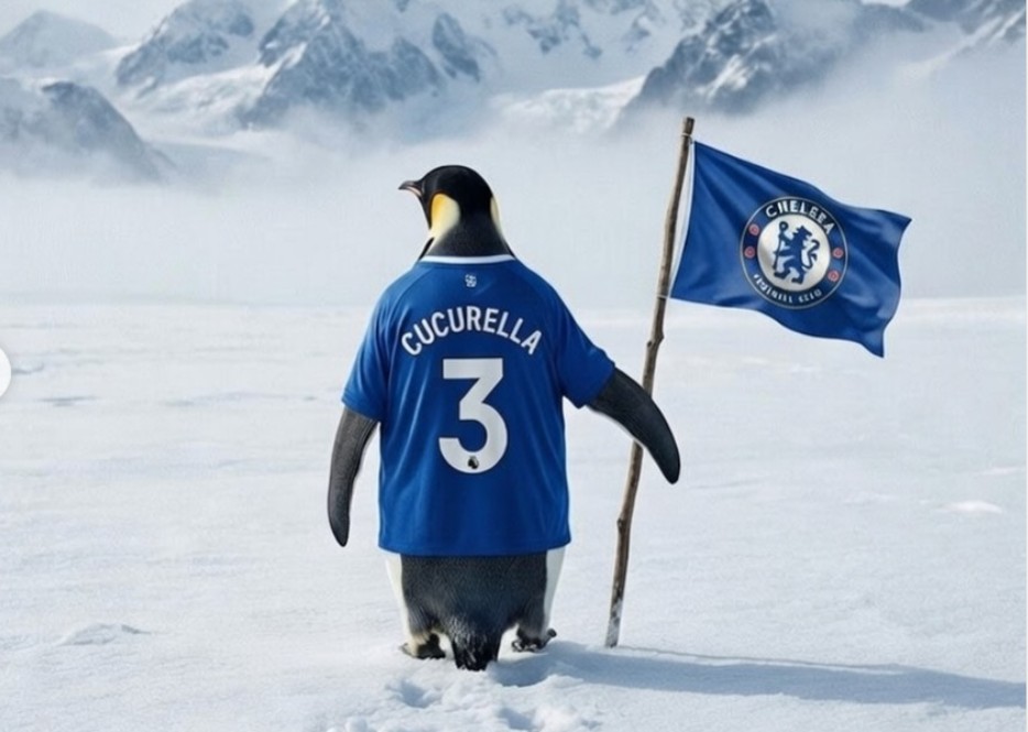 Marc-Cucurella-pingvin.jpg