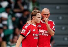 Tottenham bot 55 Millionen Euro für Andreas Schjelderup