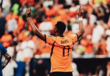 Liverpool-Star Cody Gakpo wählt zwischen Manchester City und Tottenham