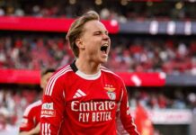 Erwartet innerhalb von 24 Stunden ein großes Gebot für Andreas Schjelderup nach Cody Gakpos Ausscheiden aus Liverpool